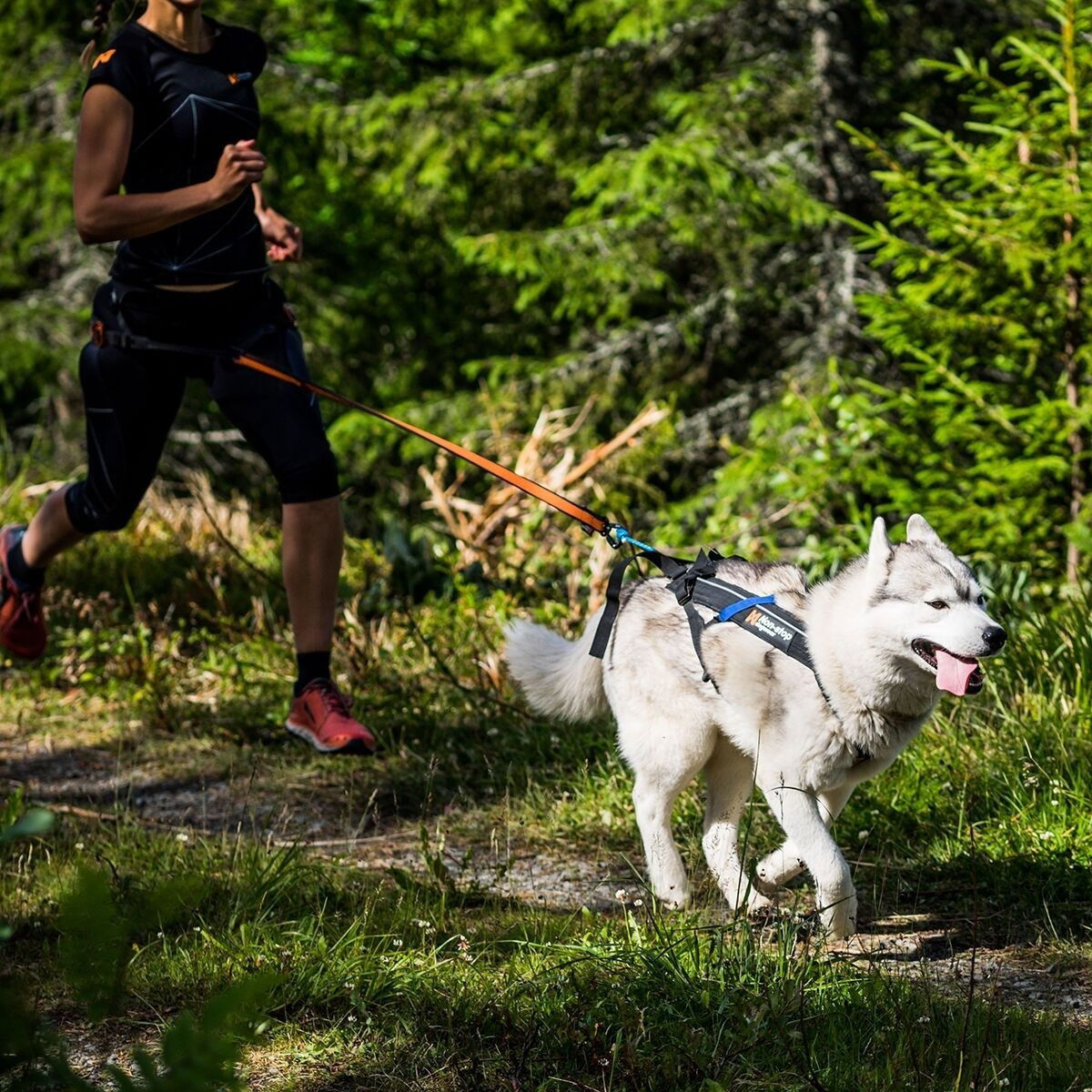 Non-stop Freemotion Trekksele 