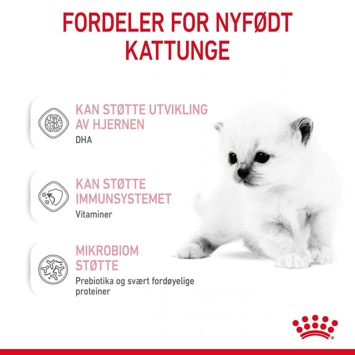 Royal Canin Babycat Milk melk til kattunge