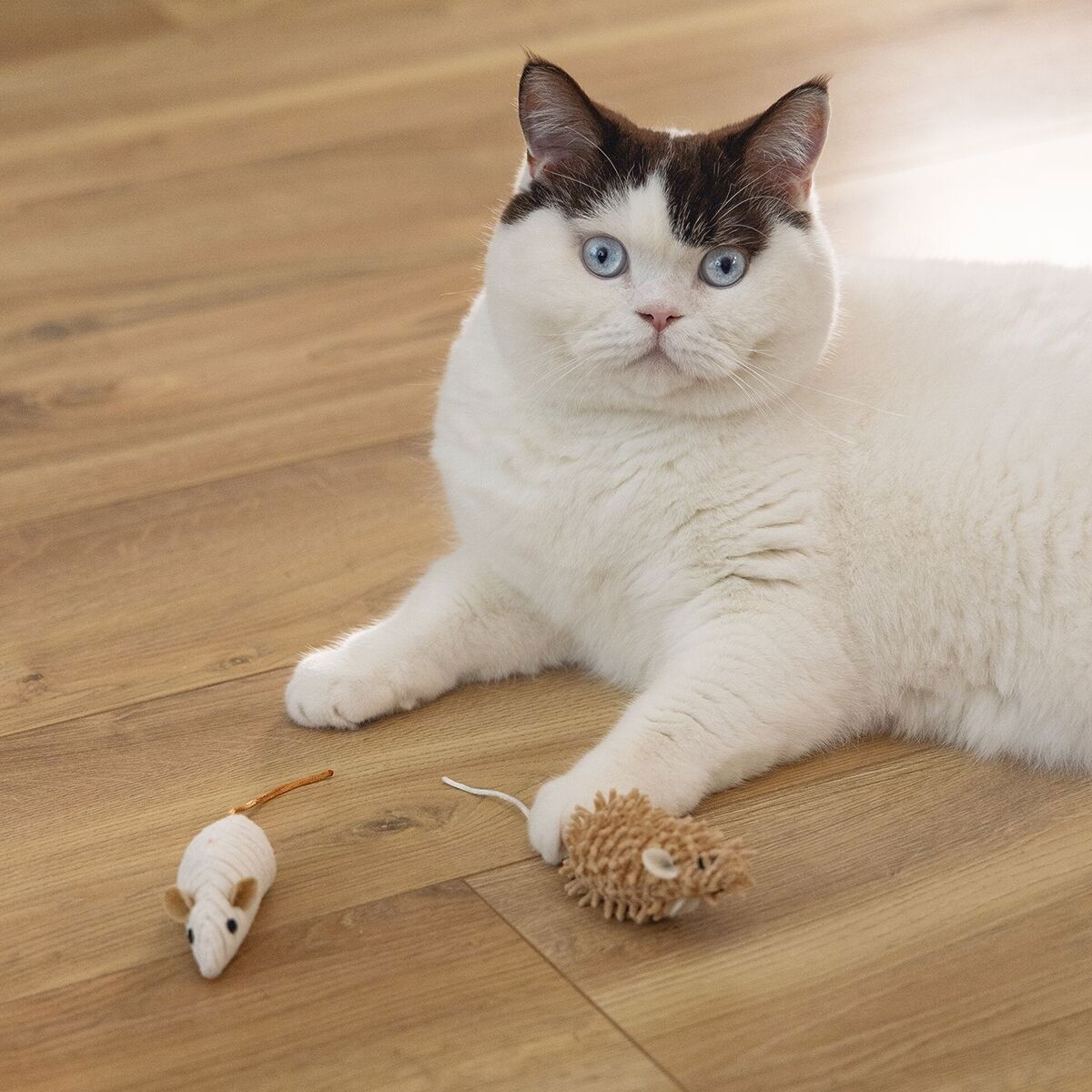 Beeztees Eco Cat Mice Seerp