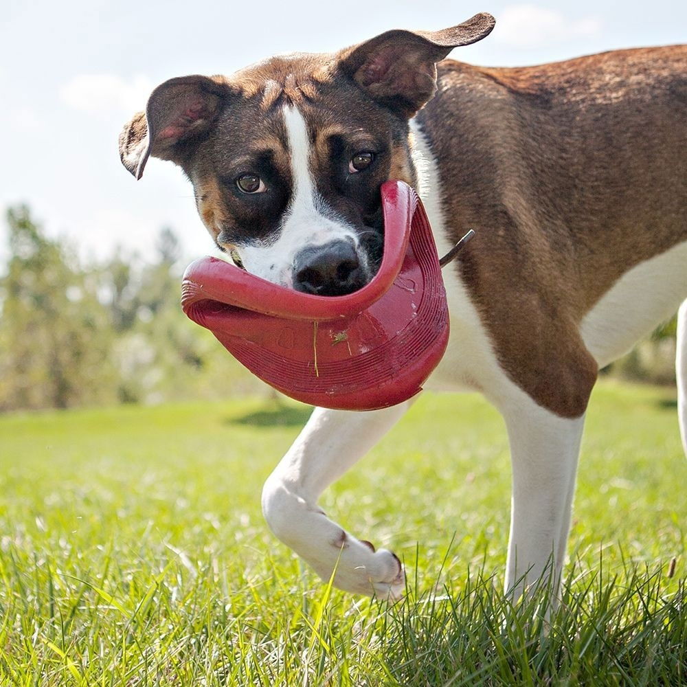 KONG frisbee rød