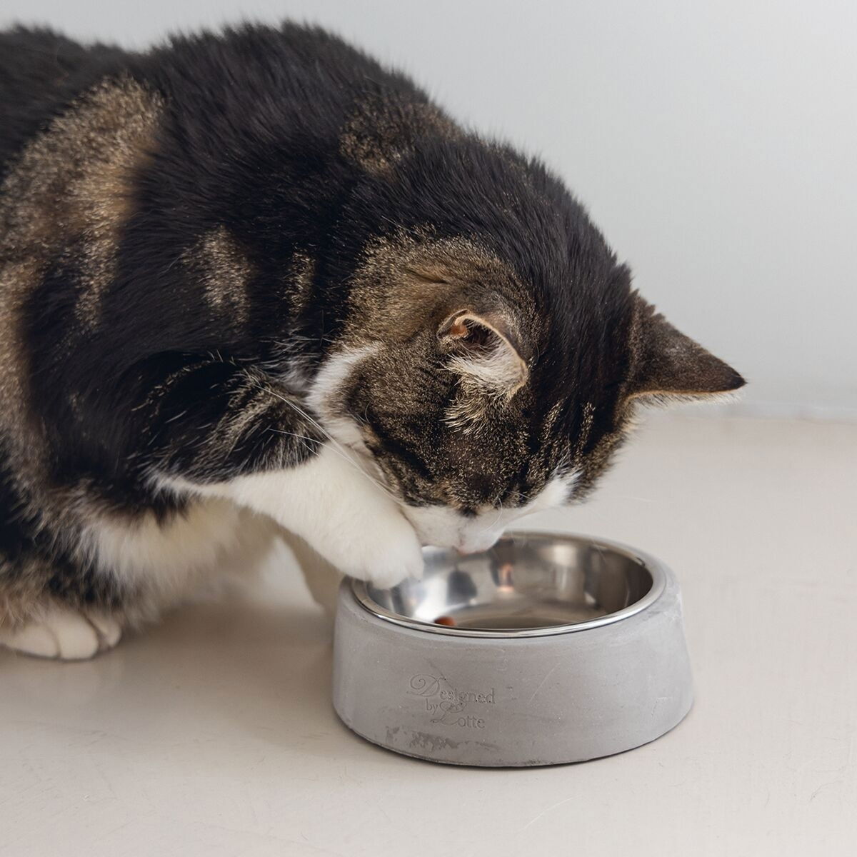 Designed by Lotte concrete cat bowl ribocco