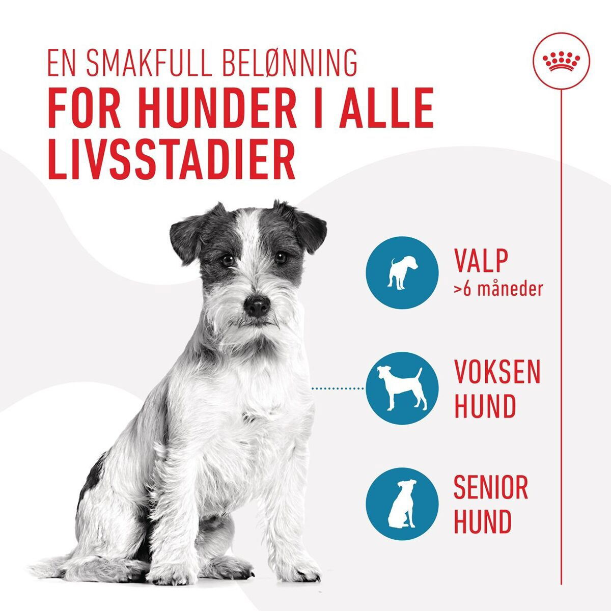 Royal Canin Dog Training Treats 110g