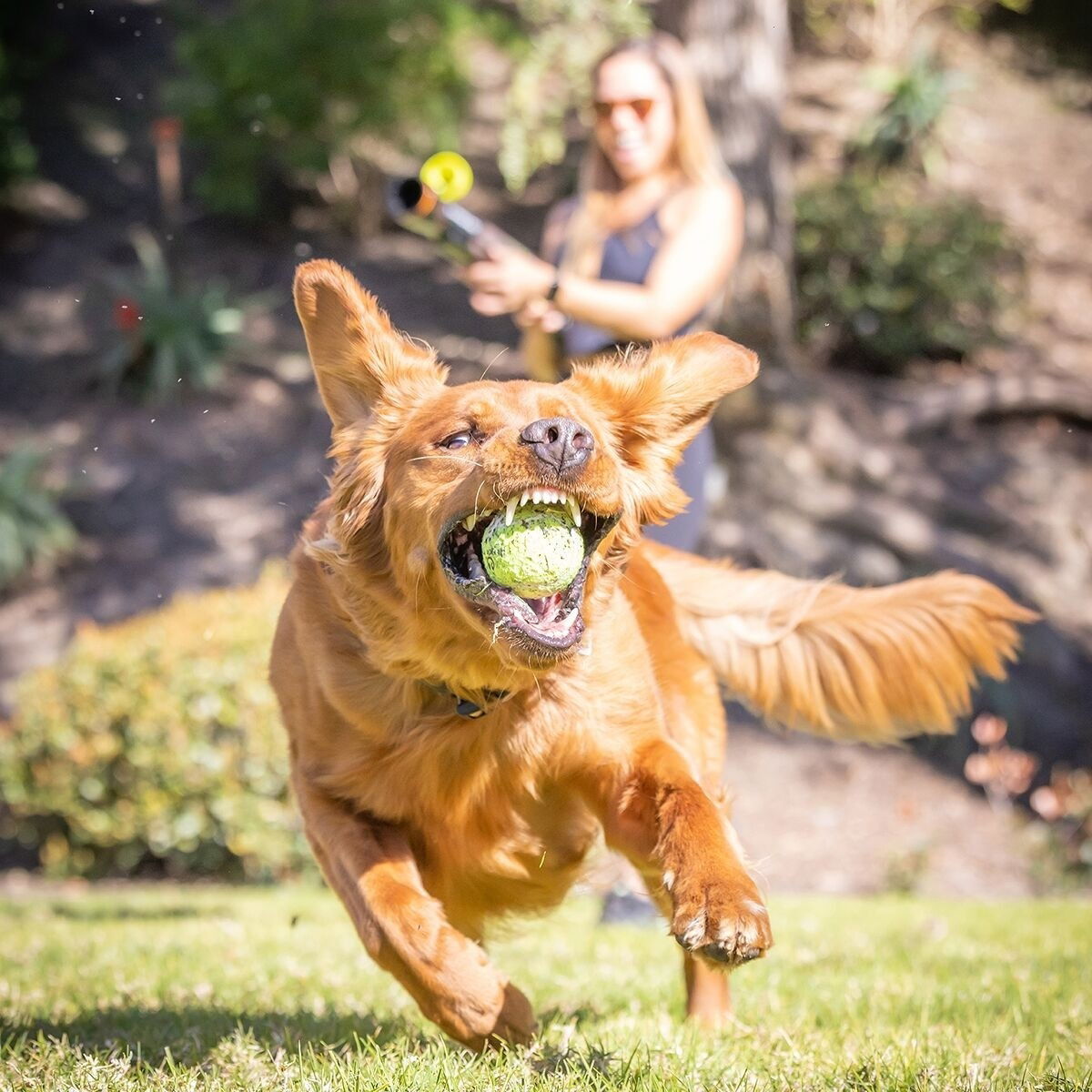 HP K9 KANNON (GEN II)