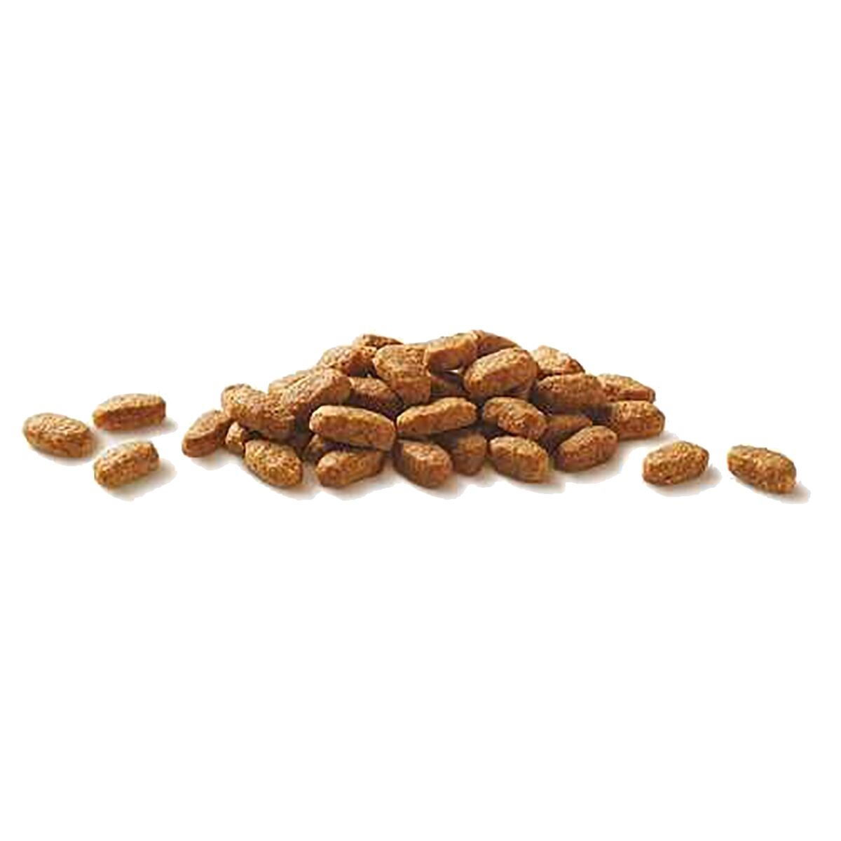 Purina ONE Adult Laks