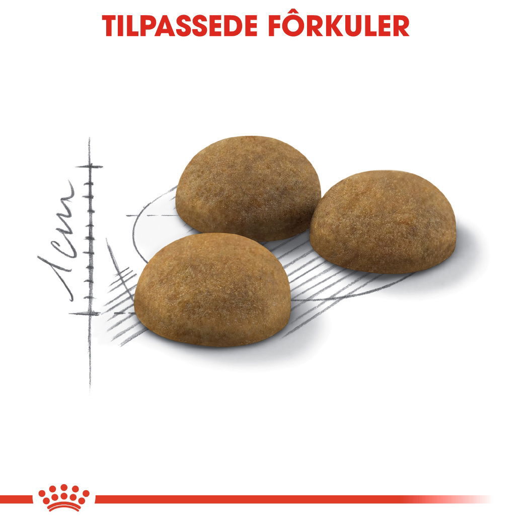 Royal Canin Indoor Long Hair Adult tørrfôr til katt