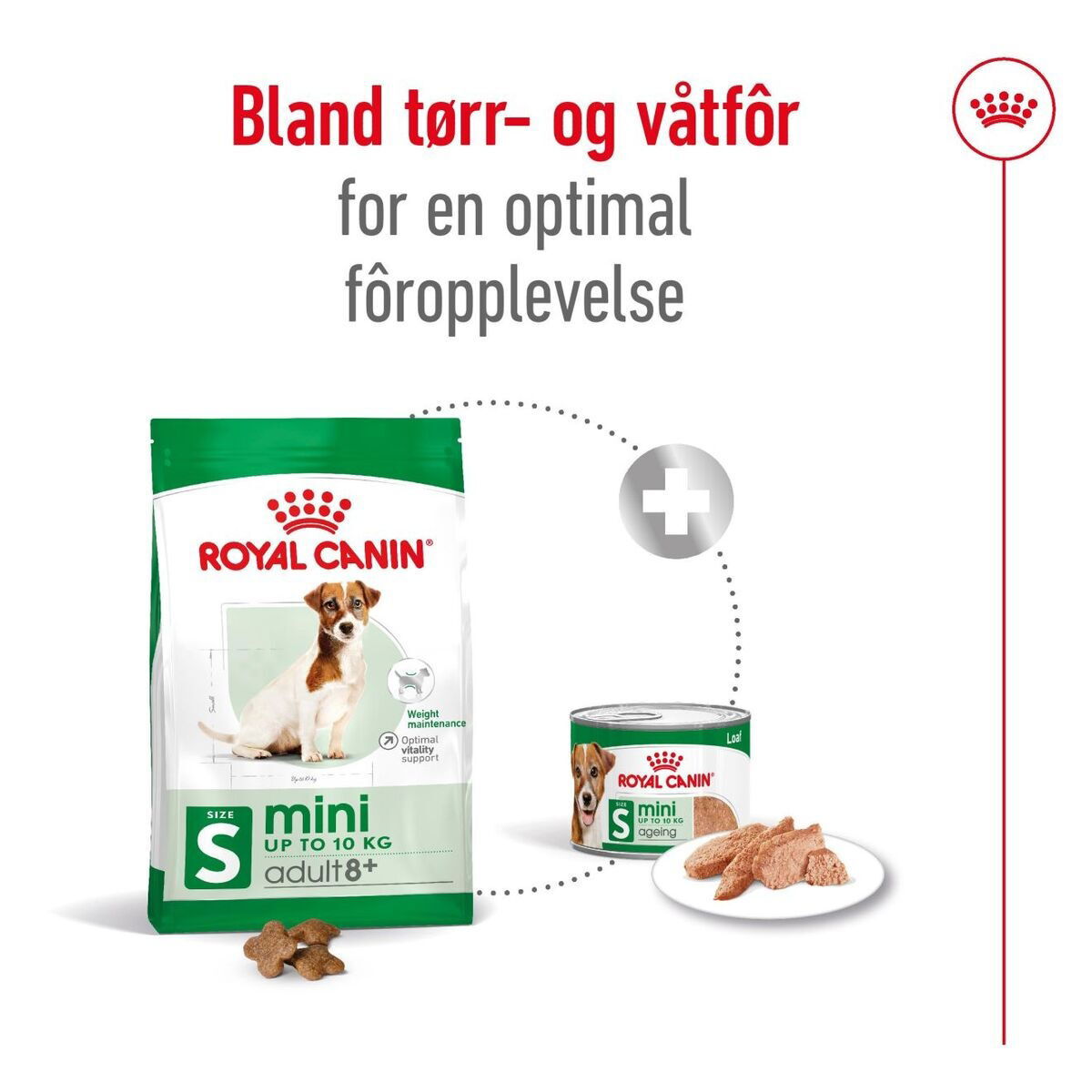 Royal Canin Mini Adult 8+ tørrfôr til hund
