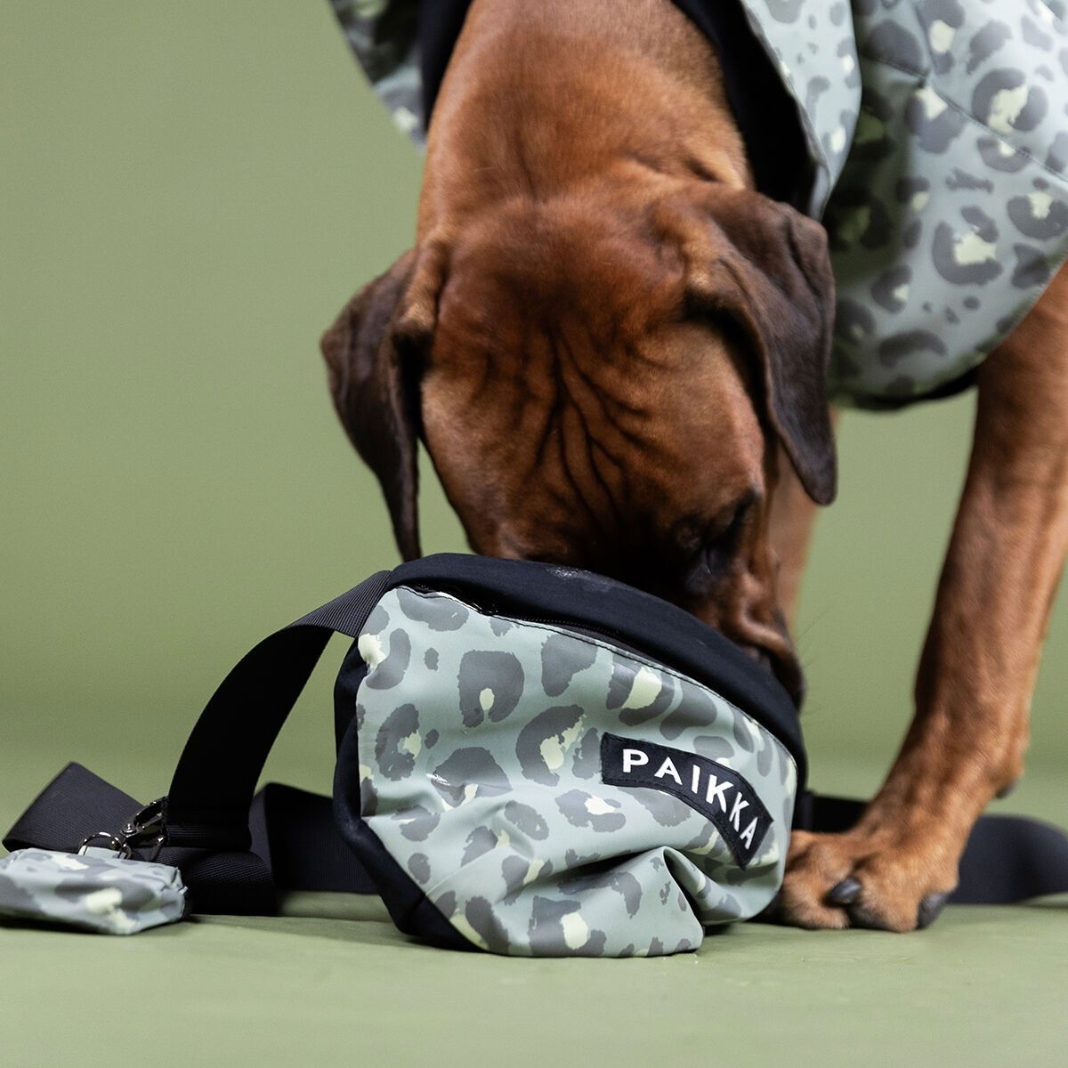 PAIKKA Visibility Treat Bag green leo