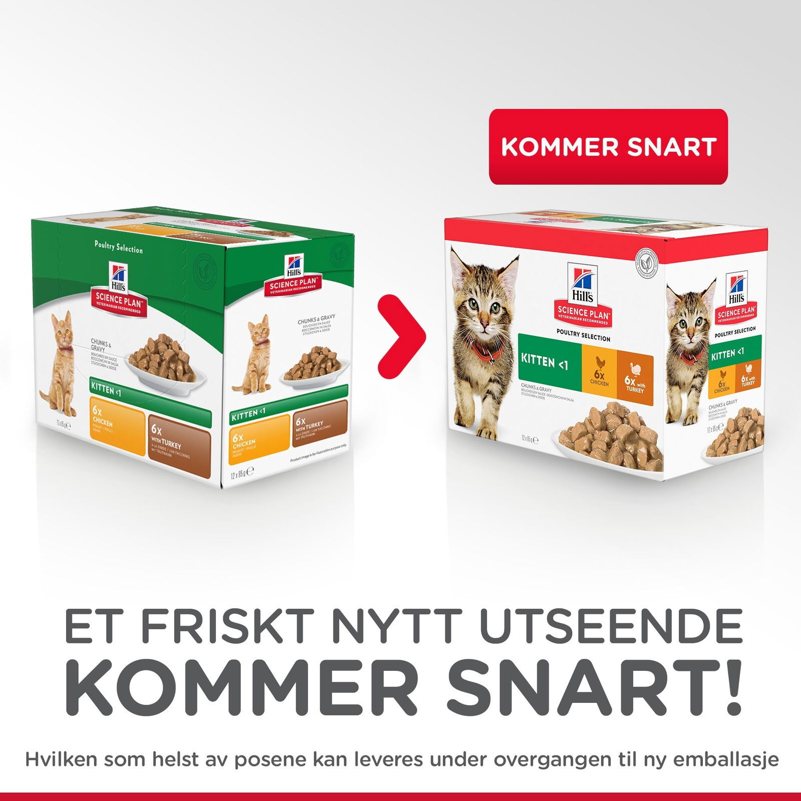 Hill's Science Plan Kitten Chicken & Ocean Fish 12x85 g